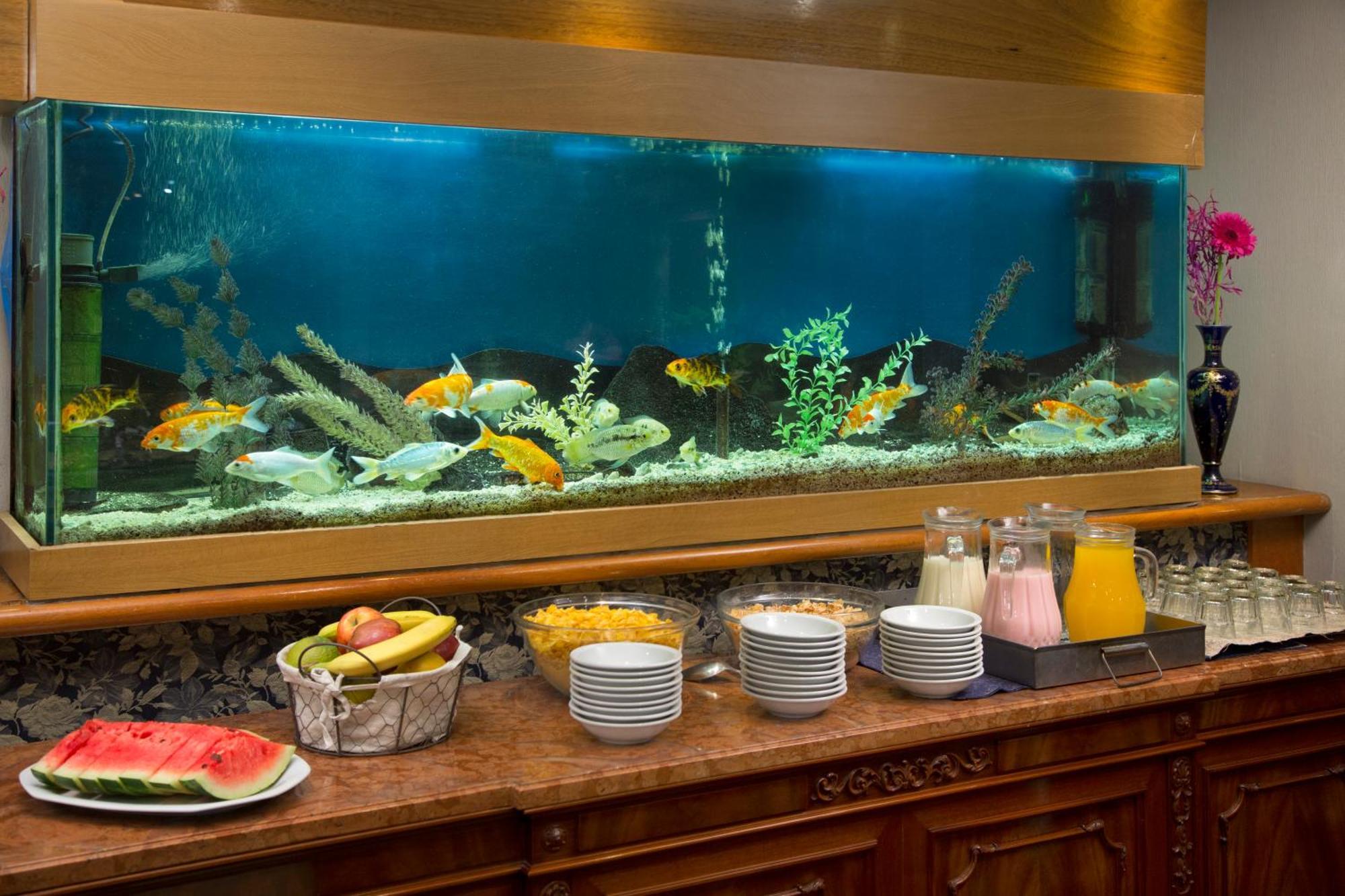 Hotel Impala Buenos Aires Extérieur photo